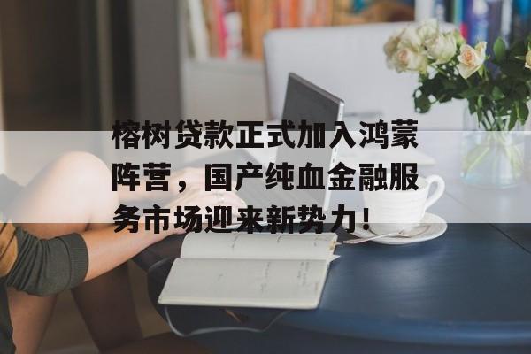 榕树贷款正式加入鸿蒙阵营，国产纯血金融服务市场迎来新势力！