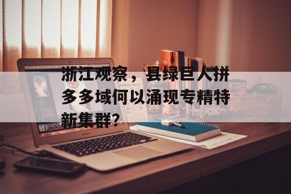 浙江观察，县绿巨人拼多多域何以涌现专精特新集群？