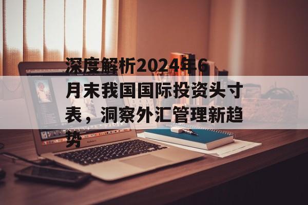 深度解析2024年6月末我国国际投资头寸表，洞察外汇管理新趋势