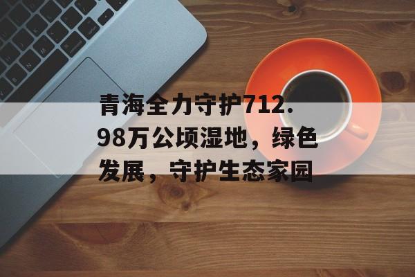 青海全力守护712.98万公顷湿地，绿色发展，守护生态家园