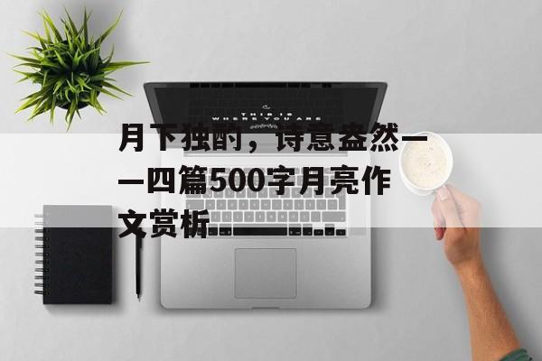 月下独酌，诗意盎然——四篇500字月亮作文赏析