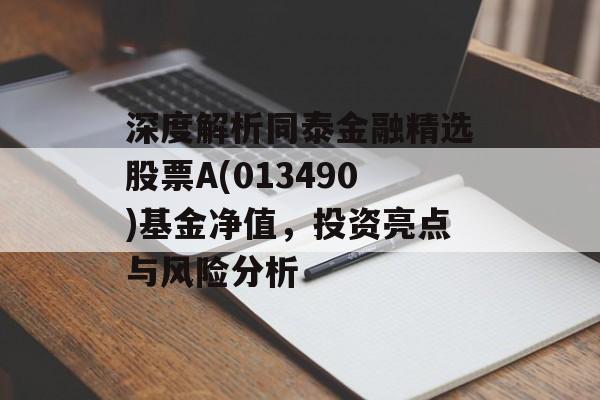 深度解析同泰金融精选股票A(013490)基金净值，投资亮点与风险分析