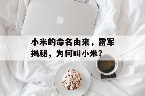 小米的命名由来，雷军揭秘，为何叫小米？