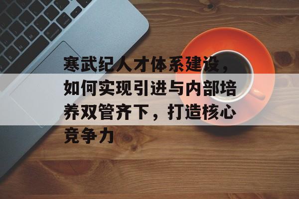 寒武纪人才体系建设，如何实现引进与内部培养双管齐下，打造核心竞争力