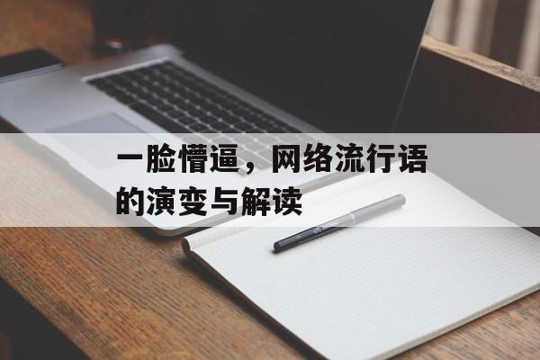 一脸懵逼，网络流行语的演变与解读