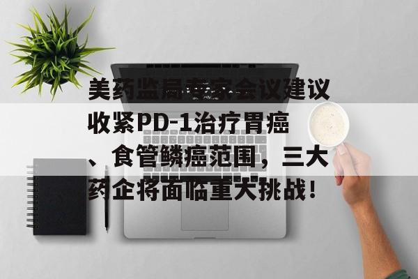 美药监局专家会议建议收紧PD-1治疗胃癌、食管鳞癌范围，三大药企将面临重大挑战！