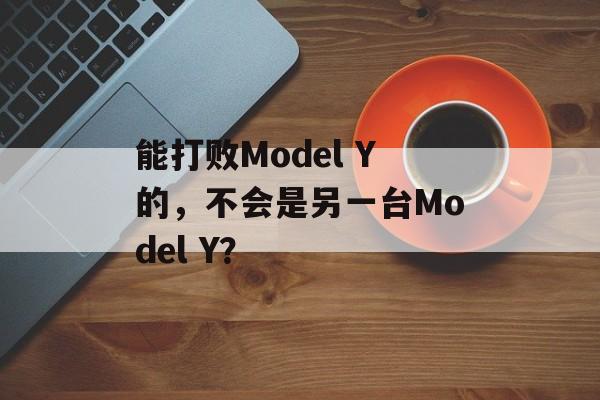 能打败Model Y的，不会是另一台Model Y？