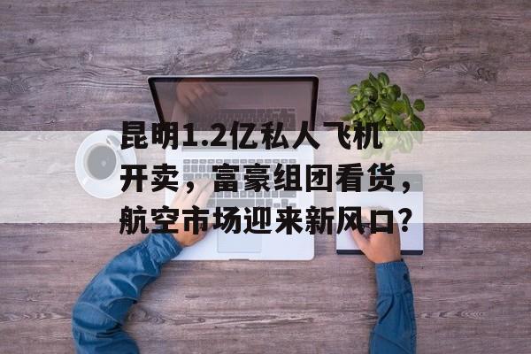 昆明1.2亿私人飞机开卖，富豪组团看货，航空市场迎来新风口？