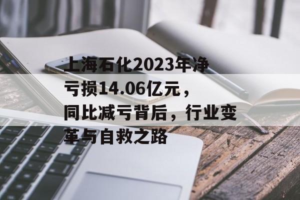 上海石化2023年净亏损14.06亿元，同比减亏背后，行业变革与自救之路