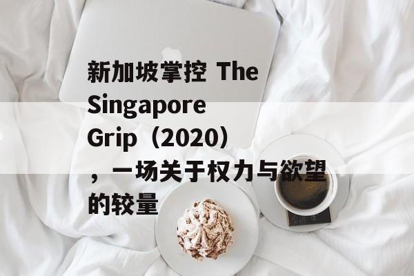 新加坡掌控 The Singapore Grip（2020），一场关于权力与欲望的较量